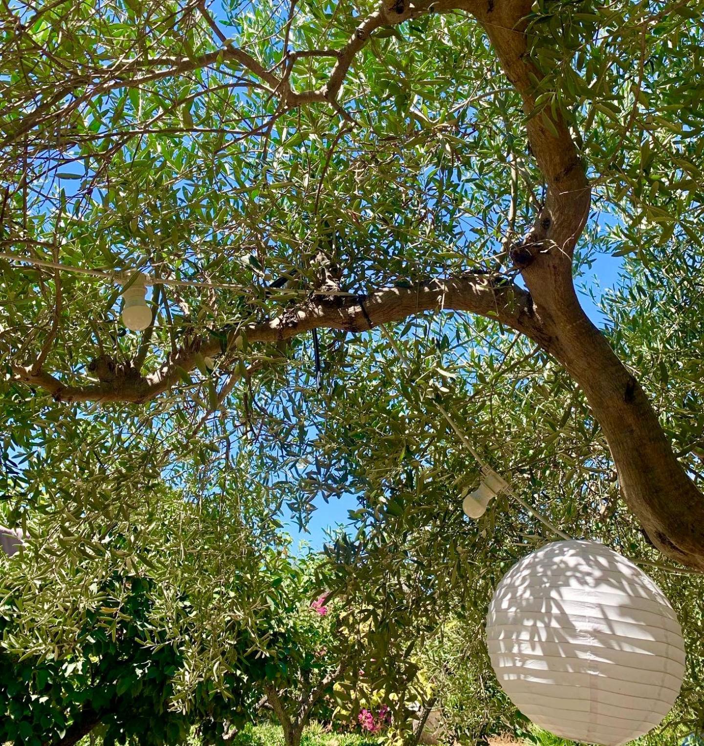 Casa Dell'Olio - Al Baglio Villa Paceco Exterior photo